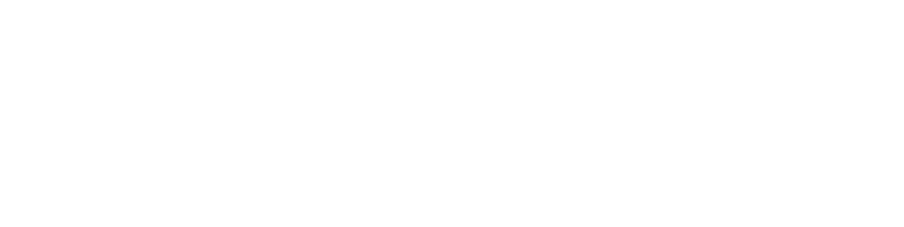 Fundid - Logo - White