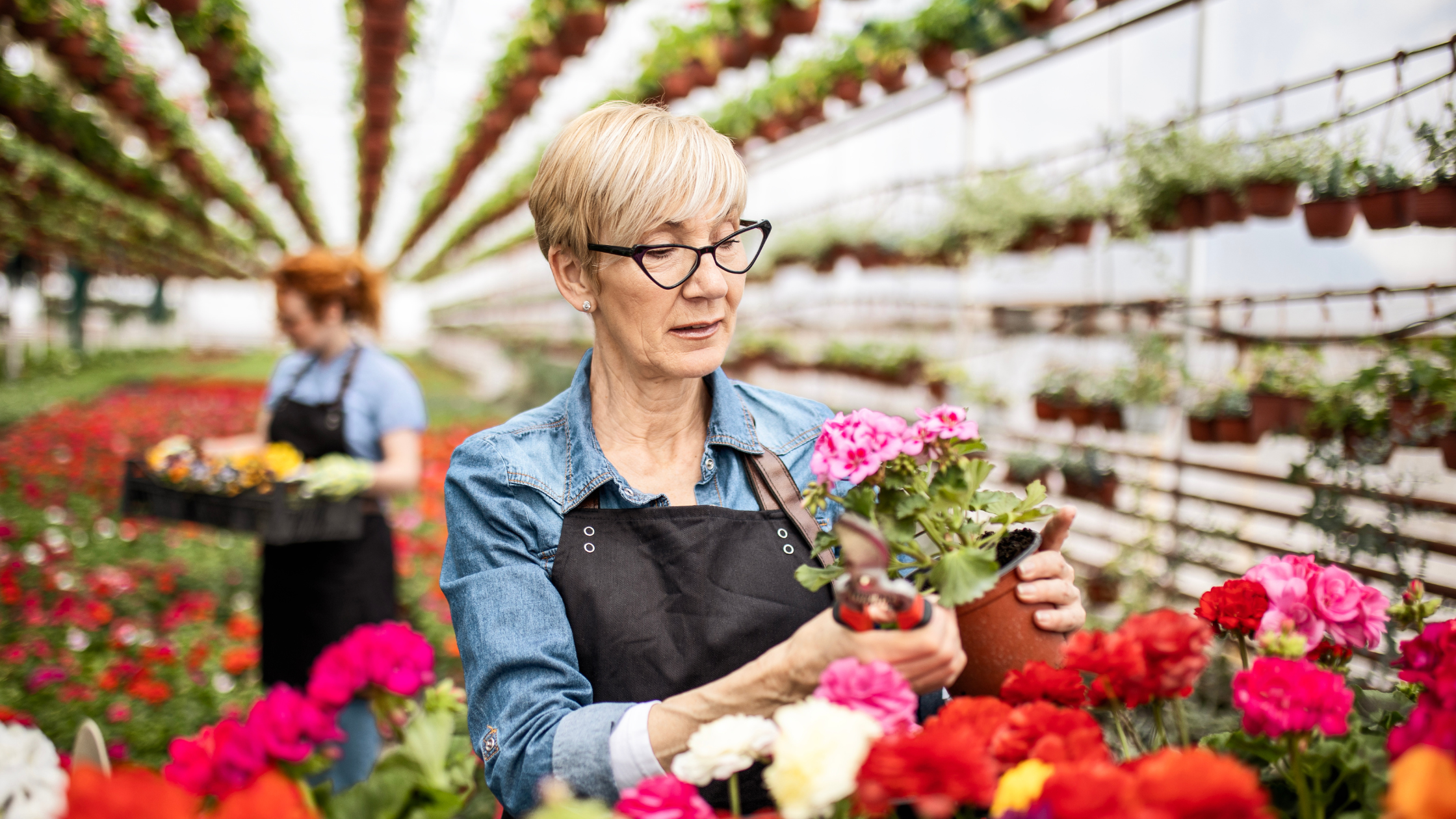 What is the Ramp Card? | Woman Business Owner In Her Flower Shop